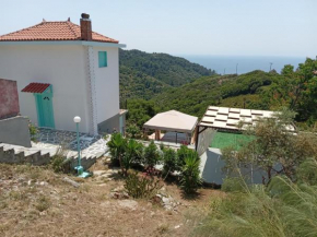 Iordanis house- Traditional House in old Alonnisos